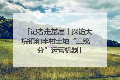 记者走基层丨探访大垸镇和丰村土地“三统一分”运营机制
