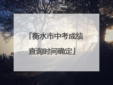 衡水市中考成绩查询时间确定