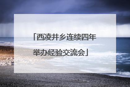 西凌井乡连续四年举办经验交流会