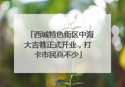 西城特色街区中海大吉巷正式开业，打卡市民真不少