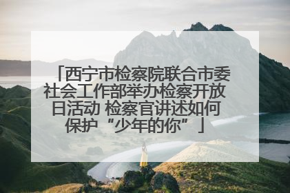 西宁市检察院联合市委社会工作部举办检察开放日活动 检察官讲述如何保护“少年的你”
