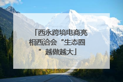 西永跨境电商亮相西洽会“生态圈”越做越大