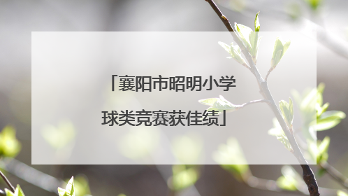 襄阳市昭明小学球类竞赛获佳绩