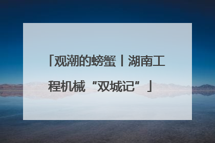 观潮的螃蟹丨湖南工程机械“双城记”