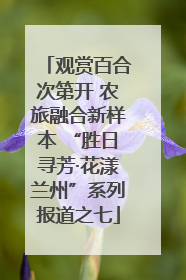 观赏百合次第开 农旅融合新样本 “胜日寻芳·花漾兰州”系列报道之七