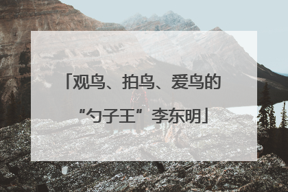 观鸟、拍鸟、爱鸟的“勺子王”李东明