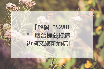 解码“5288” 烟台援藏打造边疆文旅新地标