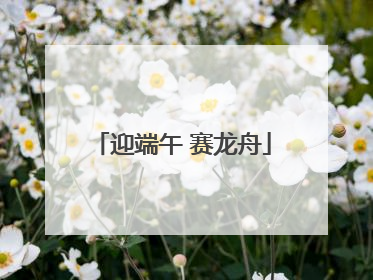 迎端午 赛龙舟