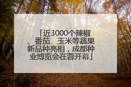 近3000个辣椒、番茄、玉米等蔬果新品种亮相，成都种业博览会在蓉开幕