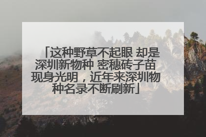 这种野草不起眼 却是深圳新物种 密穗砖子苗现身光明，近年来深圳物种名录不断刷新