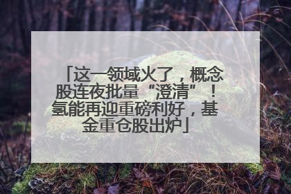 这一领域火了，概念股连夜批量“澄清”！氢能再迎重磅利好，基金重仓股出炉