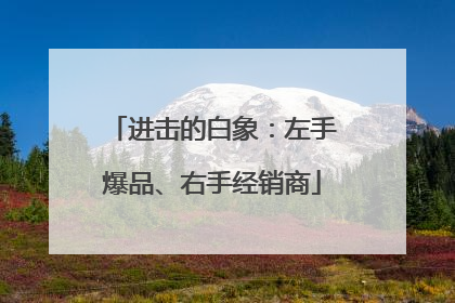 进击的白象：左手爆品、右手经销商