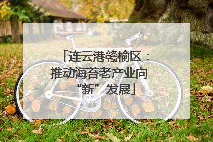 连云港赣榆区：推动海苔老产业向“新”发展