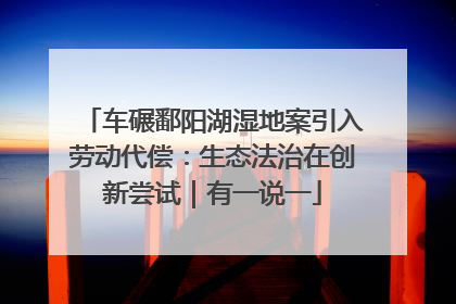 车碾鄱阳湖湿地案引入劳动代偿：生态法治在创新尝试｜有一说一