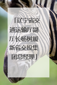 辽宁省交通运输厅副厅长杨树履新省交投集团总经理
