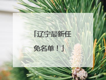 辽宁最新任免名单！