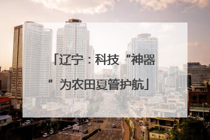 辽宁：科技“神器”为农田夏管护航