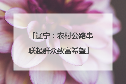 辽宁：农村公路串联起群众致富希望