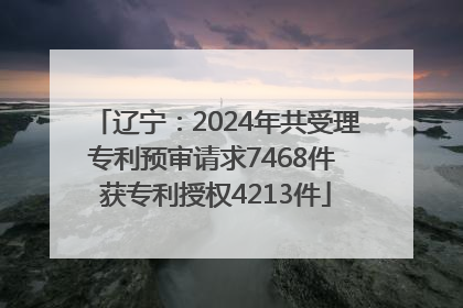 辽宁：2024年共受理专利预审请求7468件 获专利授权4213件
