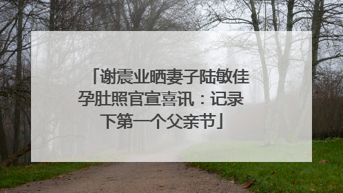 谢震业晒妻子陆敏佳孕肚照官宣喜讯：记录下第一个父亲节