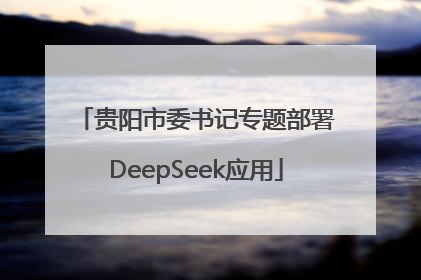 贵阳市委书记专题部署DeepSeek应用