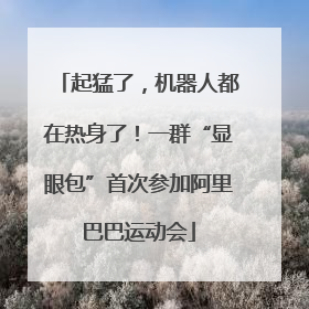 起猛了，机器人都在热身了！一群“显眼包”首次参加阿里巴巴运动会