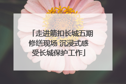 走进箭扣长城五期修缮现场 沉浸式感受长城保护工作