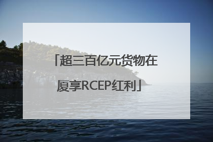 超三百亿元货物在厦享RCEP红利