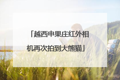 越西申果庄红外相机再次拍到大熊猫
