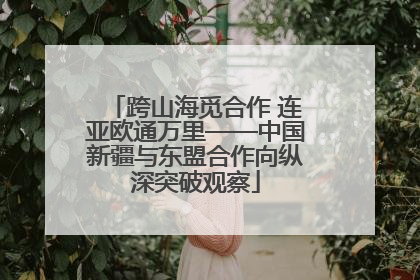 跨山海觅合作 连亚欧通万里——中国新疆与东盟合作向纵深突破观察