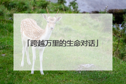 跨越万里的生命对话