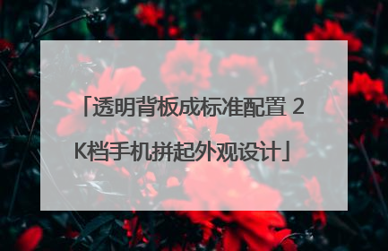 透明背板成标准配置 2K档手机拼起外观设计
