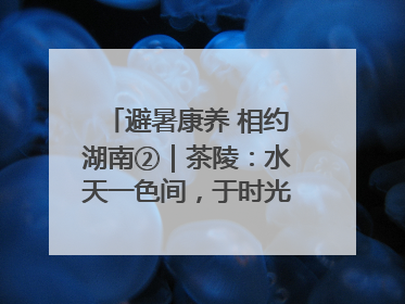 避暑康养 相约湖南②｜茶陵：水天一色间，于时光里拾取诗意