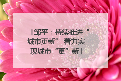 邹平：持续推进“城市更新” 着力实现城市“更”新