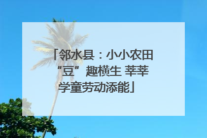 邻水县：小小农田“豆”趣横生 莘莘学童劳动添能