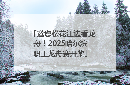 邀您松花江边看龙舟！2025哈尔滨职工龙舟赛开桨