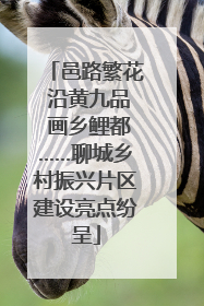 邑路繁花 沿黄九品 画乡鲤都……聊城乡村振兴片区建设亮点纷呈