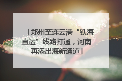 郑州至连云港“铁海直运”线路打通，河南再添出海新通道