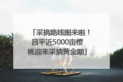 采摘路线图来啦！昌平近5000亩樱桃迎来采摘黄金期