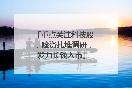 重点关注科技股，险资扎堆调研，发力长钱入市