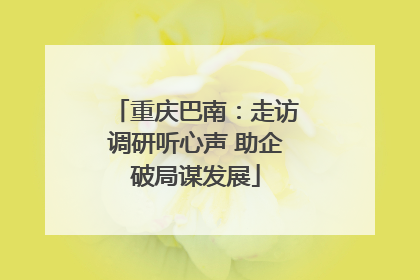 重庆巴南：走访调研听心声 助企破局谋发展