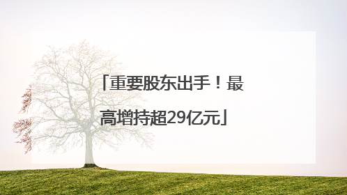 重要股东出手！最高增持超29亿元