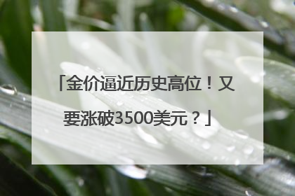 金价逼近历史高位！又要涨破3500美元？