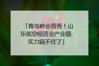 青岛峰会首秀！山东低空经济全产业链实力藏不住了