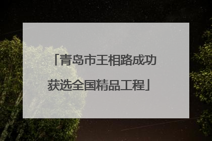 青岛市王相路成功获选全国精品工程