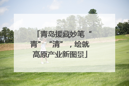 青岛援藏妙笔“青”“清”，绘就高原产业新图景