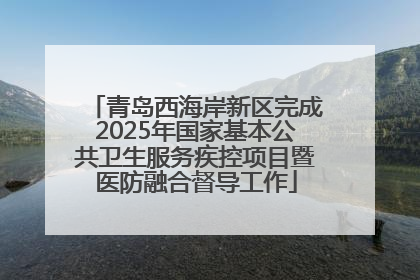 青岛西海岸新区完成2025年国家基本公共卫生服务疾控项目暨医防融合督导工作
