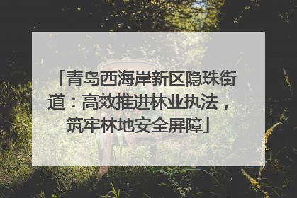 青岛西海岸新区隐珠街道：高效推进林业执法，筑牢林地安全屏障
