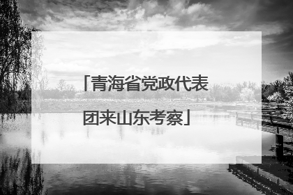 青海省党政代表团来山东考察