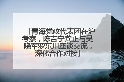 青海党政代表团在沪考察，陈吉宁龚正与吴晓军罗东川座谈交流，深化合作对接